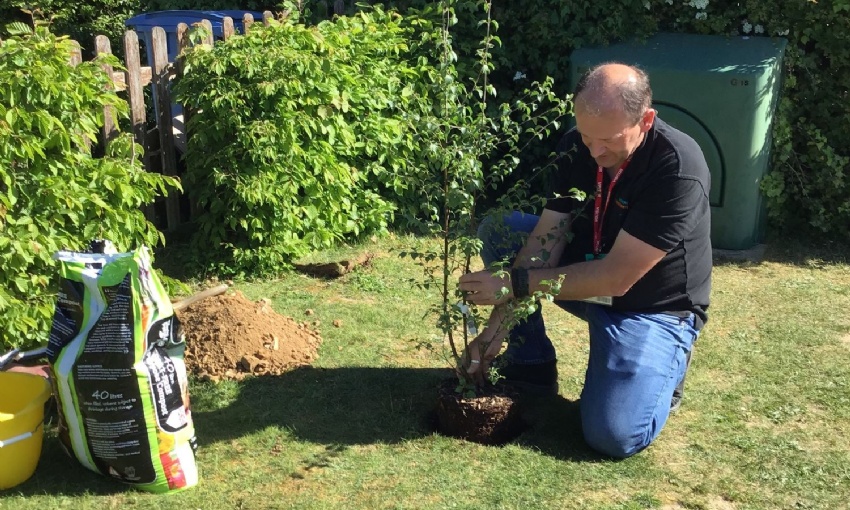 Mr Prall planting the front tree
